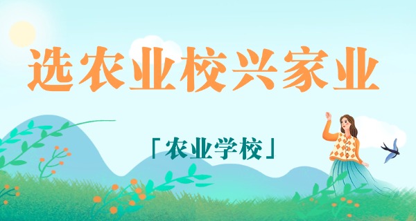 宿州农校小吃街新疆炒米粉-宿州农校新疆炒米粉