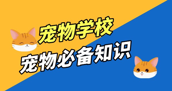镇江宠物寄训学校有吗-镇江宠物寄训学校有吗