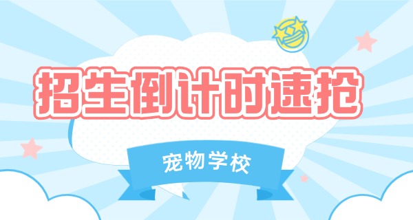 辽源训狗的学校在哪里-辽源训狗学校在哪里