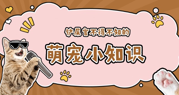 鄂州宠物培训班-鄂州宠物培训班