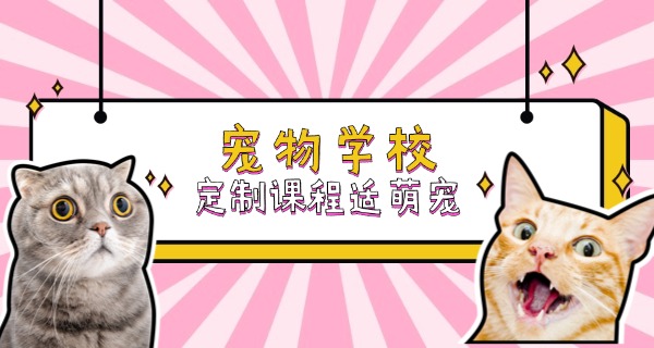 衢州宠物训练中心-衢州宠物训练中心