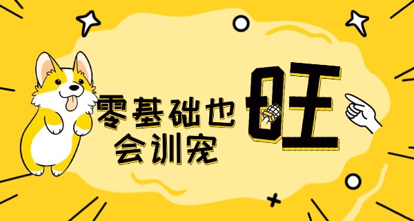 德宏训狗的学校在哪里-德宏训狗学校在哪里