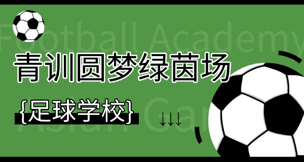 山东鲁能泰山足球学校李滨-李滨山东鲁能泰山
