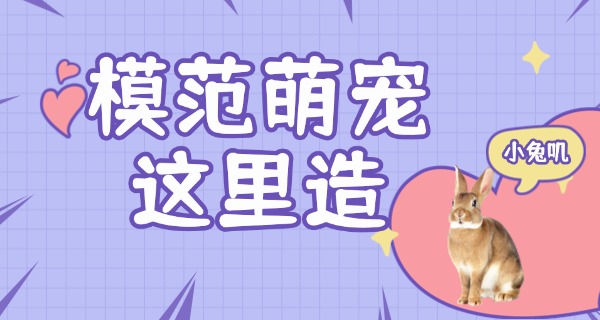 防城港宠物狗学校有没有-防城港宠物狗学校有